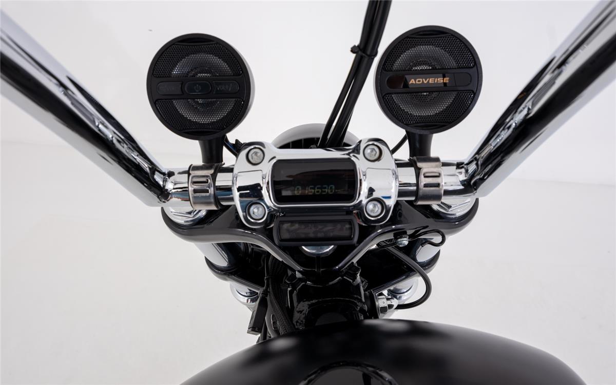 2019 harley-davidson FXBRS Breakout 114 ABS