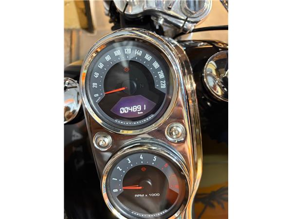 2019 HARLEY-DAVIDSON LOW RIDER