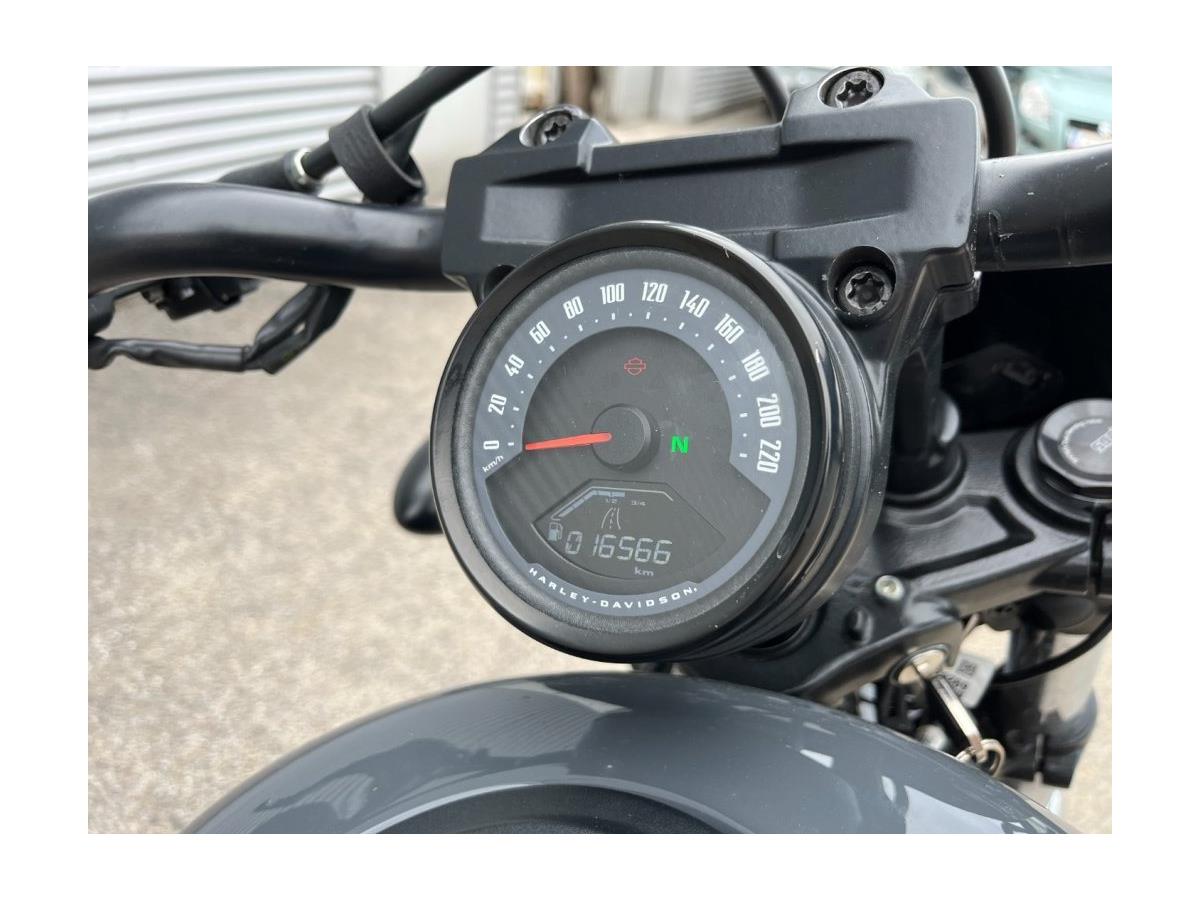 2024 Harley-Davidson Nightster