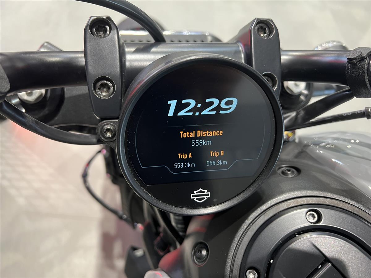 2025 HARLEY-DAVIDSON SPORTSTER 1250