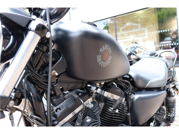2019 HARLEY-DAVIDSON SPORTSTER XL883N IRON