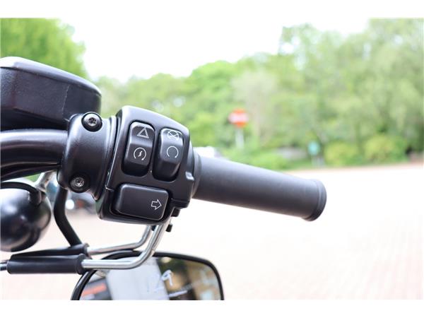 2019 HARLEY-DAVIDSON SPORTSTER XL883N IRON