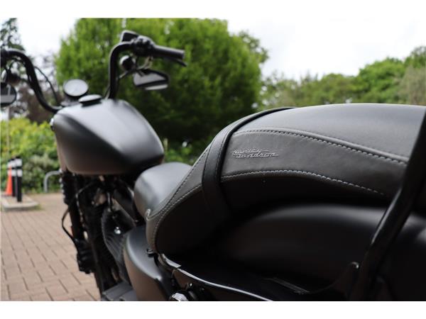 2019 HARLEY-DAVIDSON SPORTSTER XL883N IRON