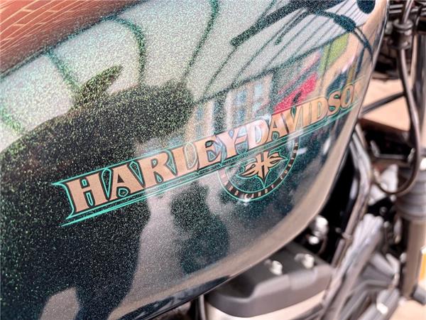 2018 HARLEY-DAVIDSON SPORTSTER XL883N IRON