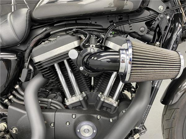 2019 Harley-Davidson Iron 883