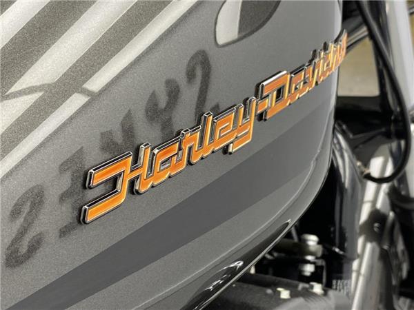 2019 Harley-Davidson Iron 883