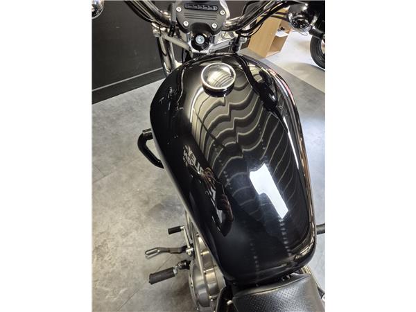 2015 HARLEY-DAVIDSON SUPERLOW