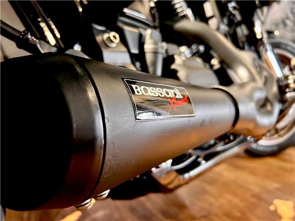 2022 Harley-Davidson Softail
