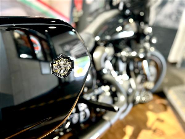 2022 Harley-Davidson Softail