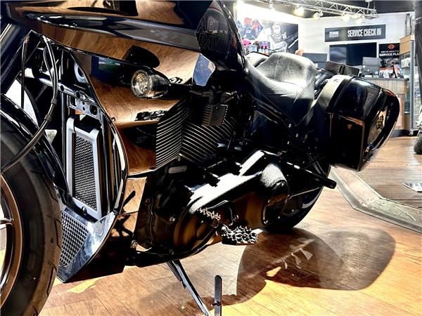 2022 Harley-Davidson Softail