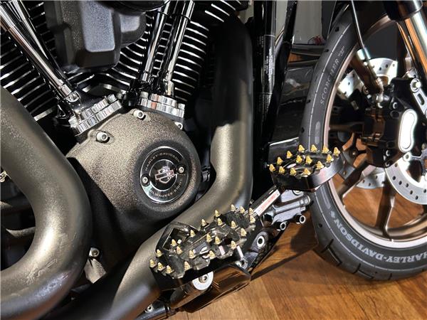 2022 Harley-Davidson Softail