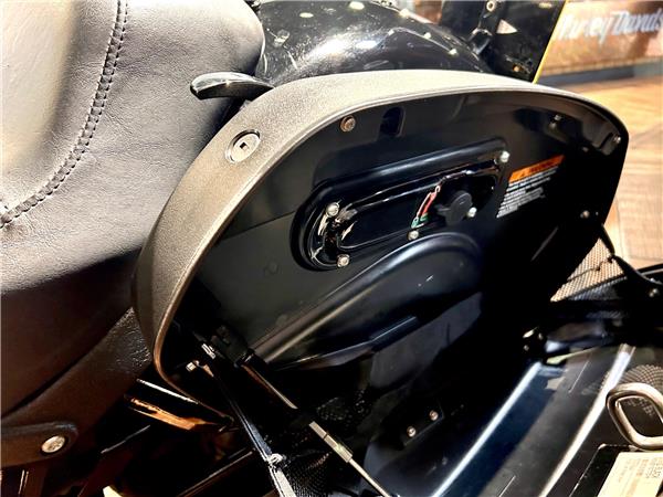 2022 Harley-Davidson Softail