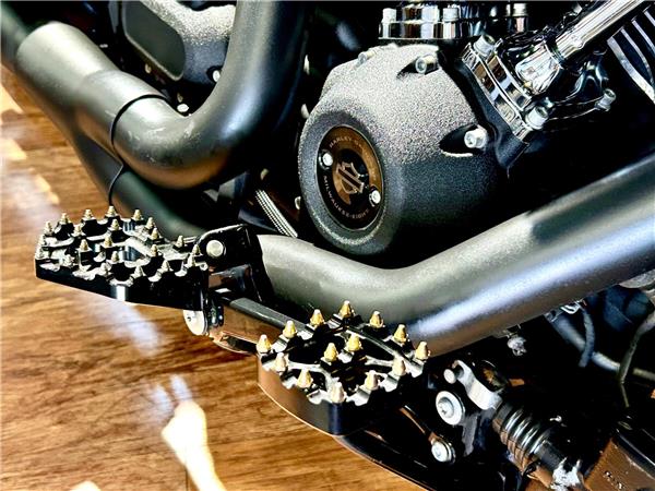 2022 Harley-Davidson Softail