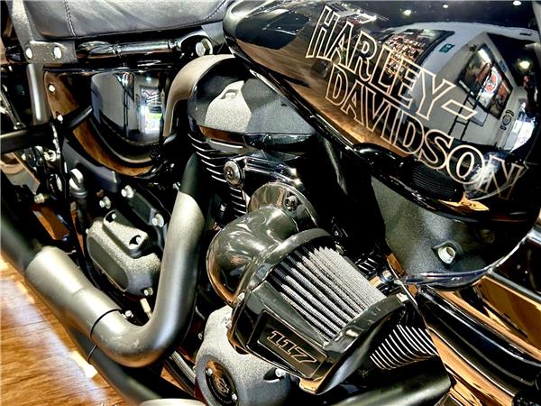 2022 Harley-Davidson Softail