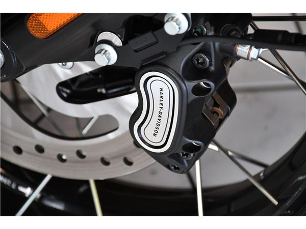 2025 HARLEY-DAVIDSON STREET BOB