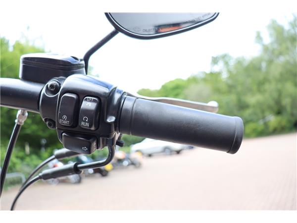 2009 HARLEY-DAVIDSON SOFTAIL FLSTFB FAT BOY SPECIAL