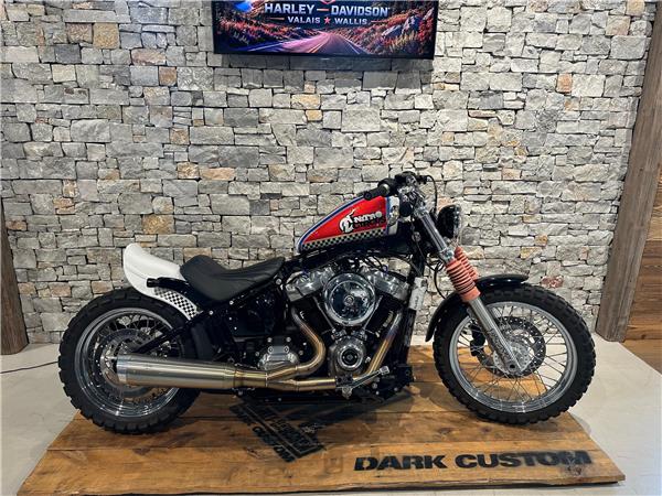 2023 harley-davidson FXST Softail Standard 107