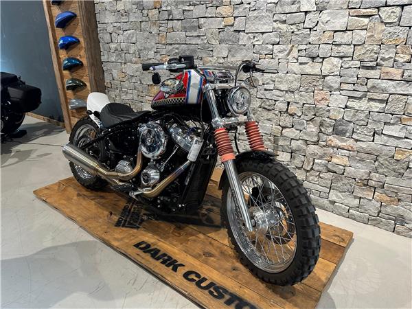 2023 harley-davidson FXST Softail Standard 107