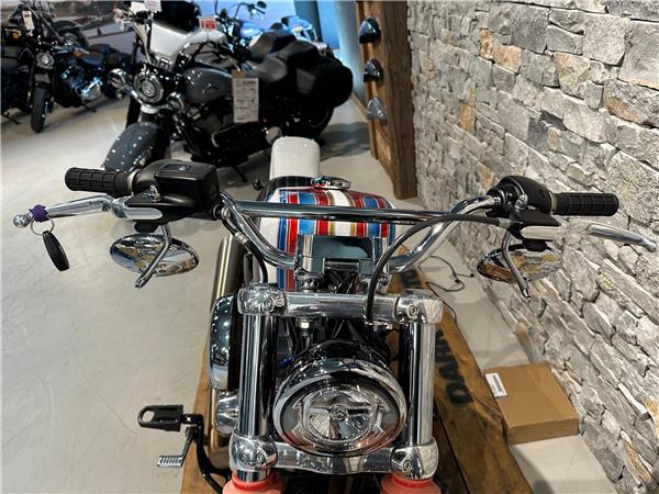 2023 harley-davidson FXST Softail Standard 107