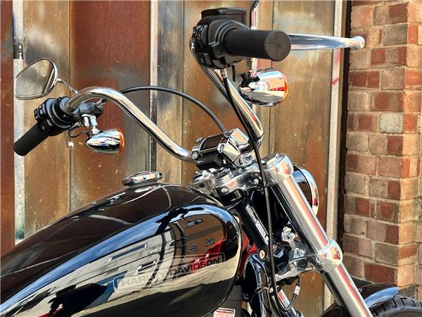 2021 Harley-Davidson Softail