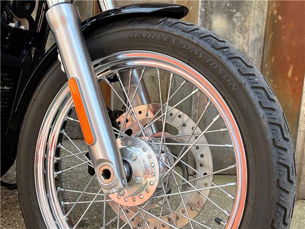 2021 Harley-Davidson Softail