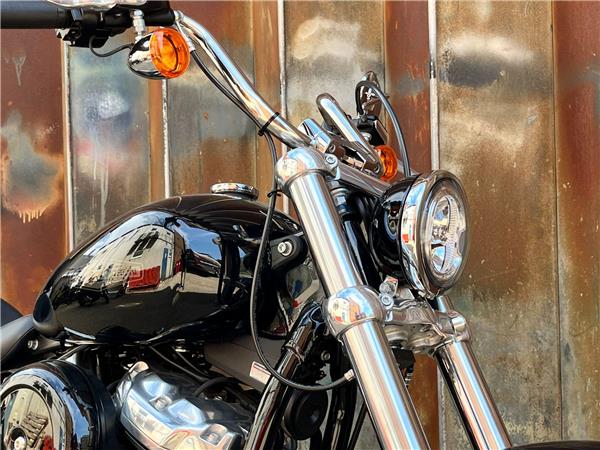 2021 Harley-Davidson Softail
