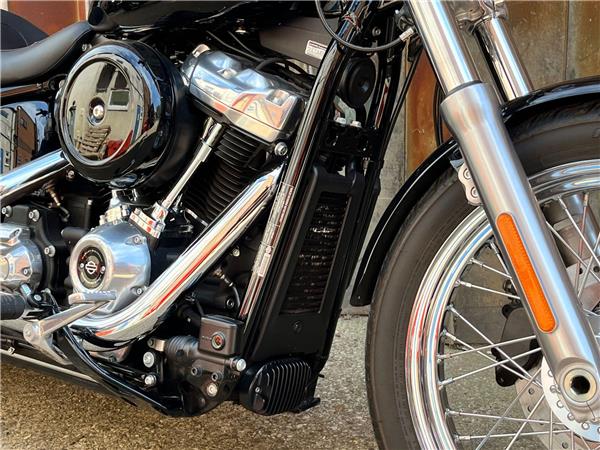 2021 Harley-Davidson Softail