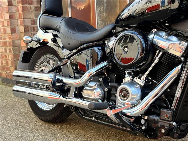 2021 Harley-Davidson Softail