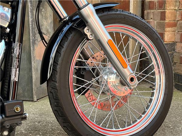 2021 Harley-Davidson Softail