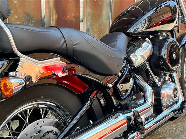 2021 Harley-Davidson Softail