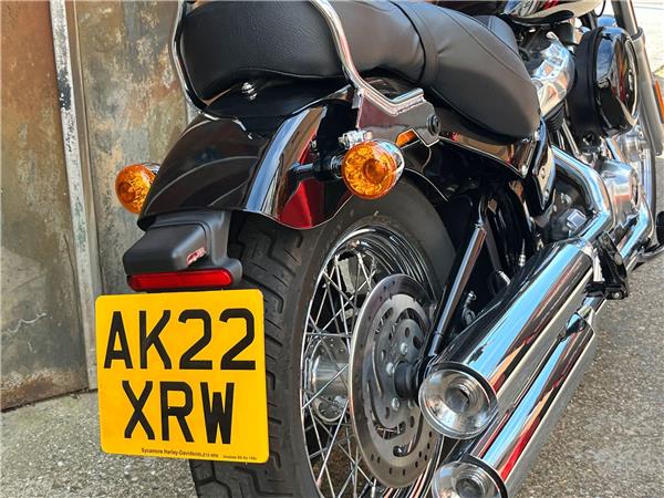 2021 Harley-Davidson Softail
