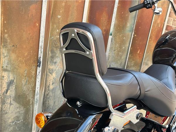 2021 Harley-Davidson Softail