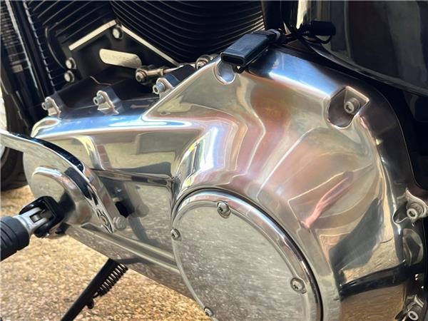 2021 Harley-Davidson Softail