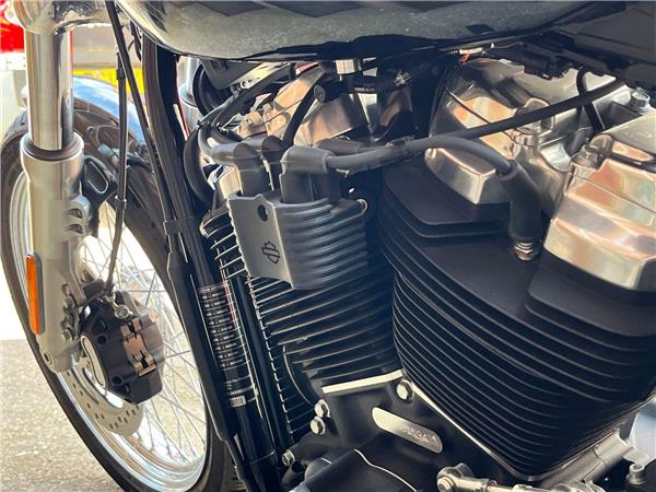2021 Harley-Davidson Softail