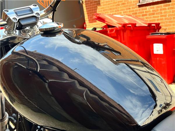 2021 Harley-Davidson Softail