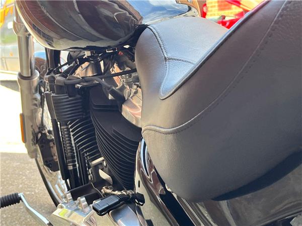 2021 Harley-Davidson Softail
