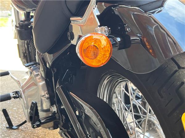 2021 Harley-Davidson Softail