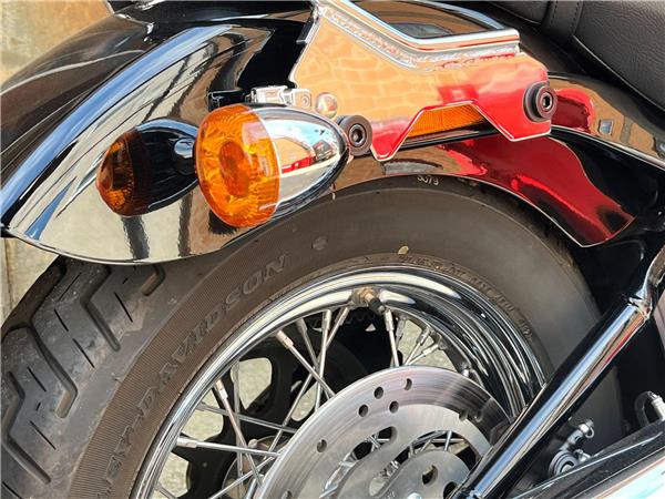 2021 Harley-Davidson Softail