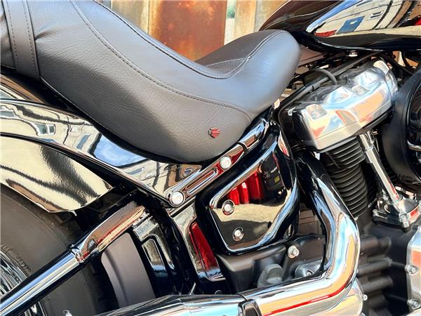 2021 Harley-Davidson Softail