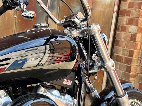 2021 Harley-Davidson Softail
