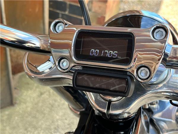 2021 Harley-Davidson Softail