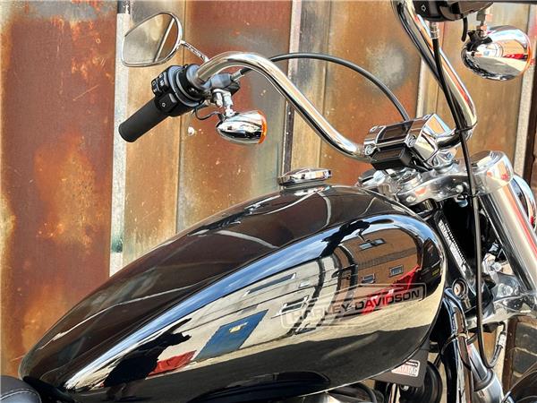 2021 Harley-Davidson Softail