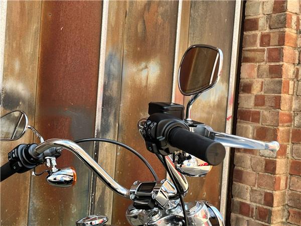 2021 Harley-Davidson Softail