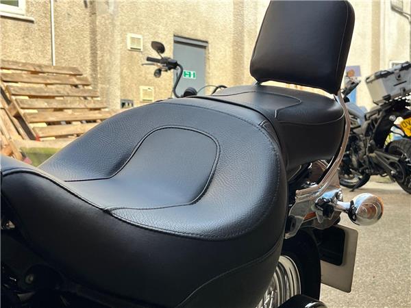 2021 Harley-Davidson Softail