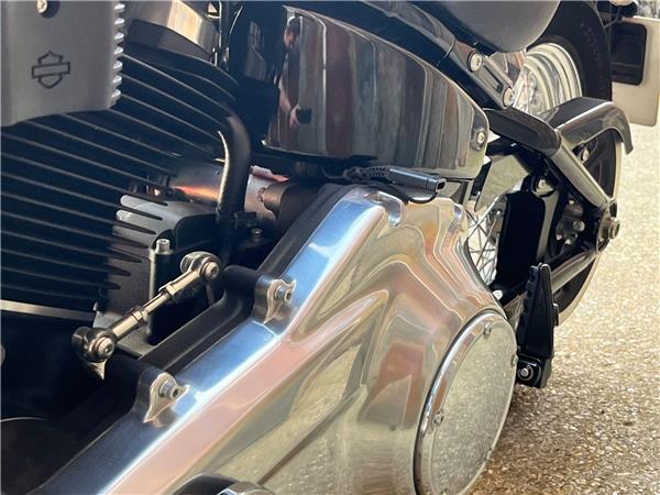 2021 Harley-Davidson Softail
