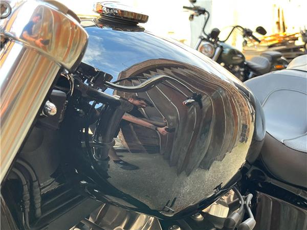 2021 Harley-Davidson Softail