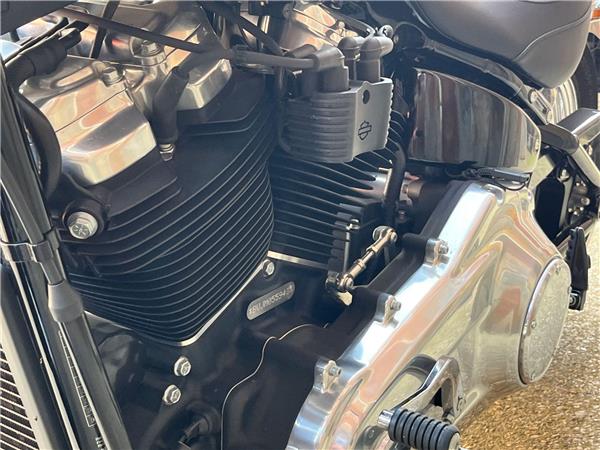 2021 Harley-Davidson Softail
