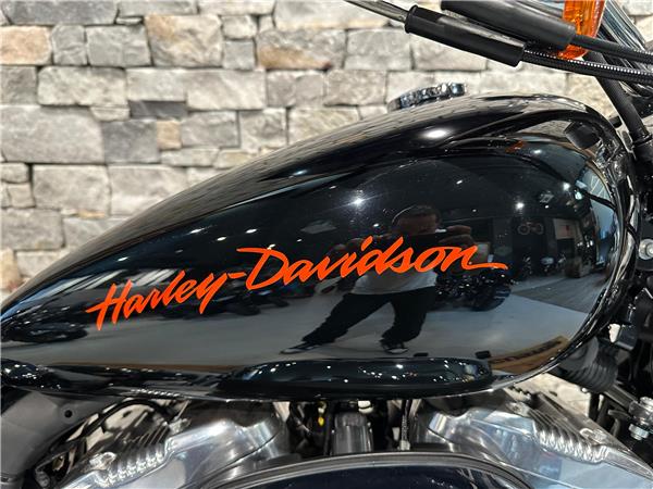 2014 harley-davidson XL 883 L Sportster Super Low