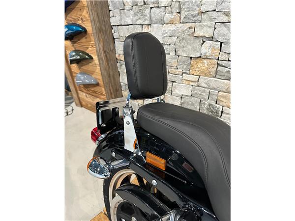 2014 harley-davidson XL 883 L Sportster Super Low