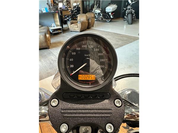 2014 harley-davidson XL 883 L Sportster Super Low